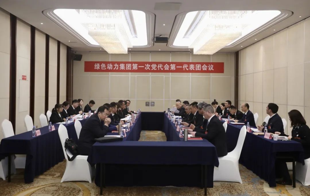 铭刻使命再出发，，代表热议“两委”报告