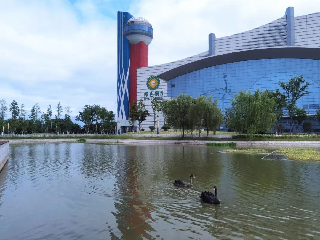 征途国际官网-追求康健,你我一起生长