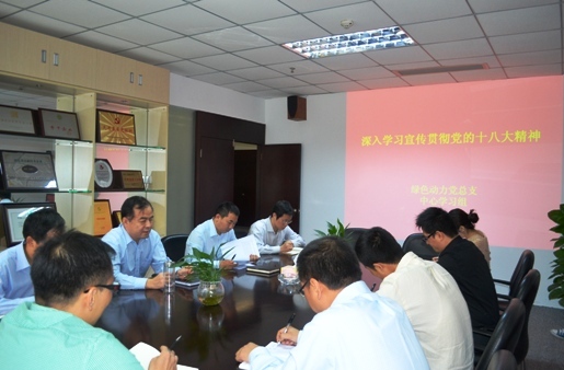 征途国际官网集团党总支组织学习十八大精神